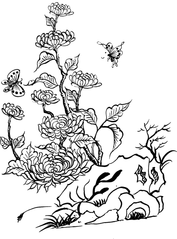 chrysanthemum haiku