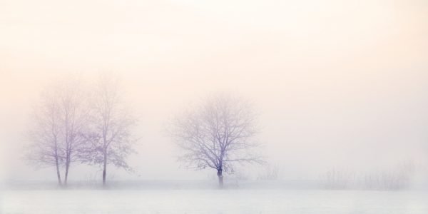 winter landscape fresh snow