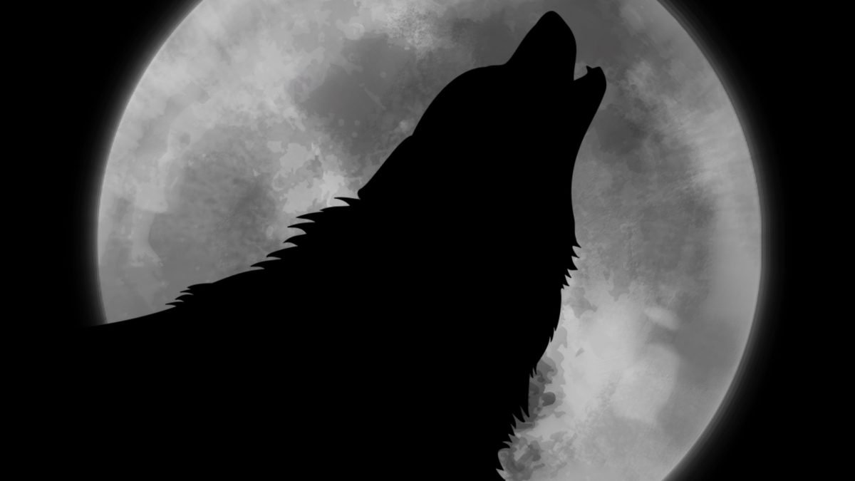 midnight wolf howl moon