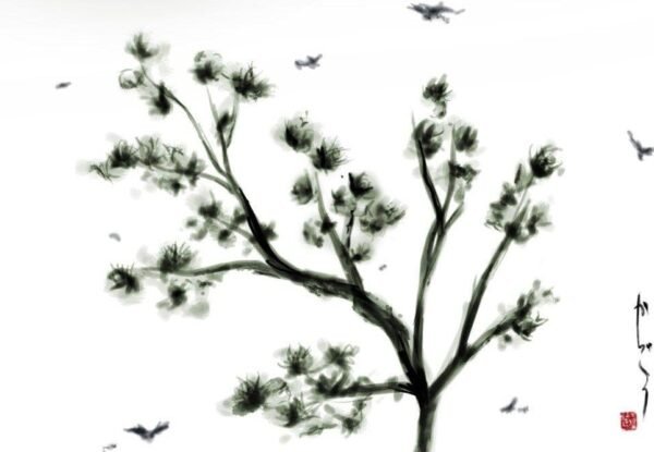 nepali haiku finds a global stage jaanksapkota.com